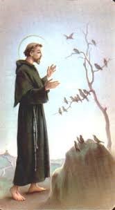 lllustration of St. Francis of Assisi